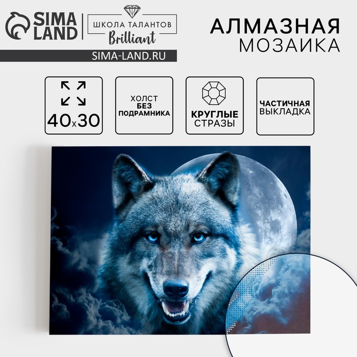 Алмазная мозаика с частичным заполнением на холсте «Магия волка», 30×40 см - Фото 1