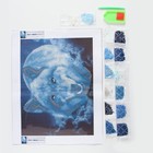 Алмазная мозаика с частичным заполнением на холсте «Магия волка», 30×40 см - Фото 3