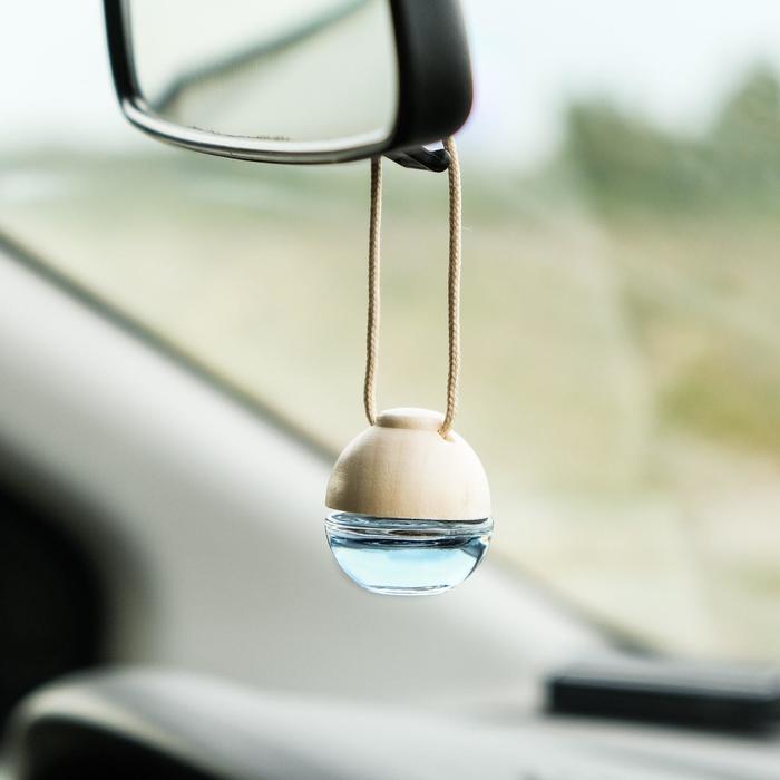 Ароматизатор воздуха FRESHMANIA PREMIUM, флакон 5 мл, ПРОХЛАДНЫЙ ВОДОПАД, AFM-F-16 - Фото 1