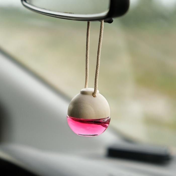 Ароматизатор воздуха FRESHMANIA PREMIUM, флакон 5 мл, СПОРТ, AFM-F-19 - Фото 1