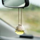 Ароматизатор воздуха FRESHMANIA PREMIUM, флакон 5 мл, ДЖЕНТЛЬМЕН, AFM-F-22 - Фото 1