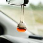 Ароматизатор воздуха FRESHMANIA PREMIUM, флакон 5 мл, BUBBLE GUM, AFM-F-8 - Фото 1