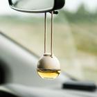 Ароматизатор воздуха FRESHMANIA PREMIUM, флакон 5 мл, НОВАЯ МАШИНА, AFM-F-9 - Фото 1