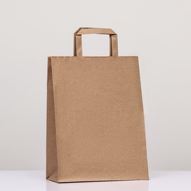 Пакет крафт без печати, с плоскими ручками 24 х 12 х 32 см (комплект 20 шт)