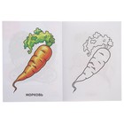 Раскраска «Овощи» - Фото 2