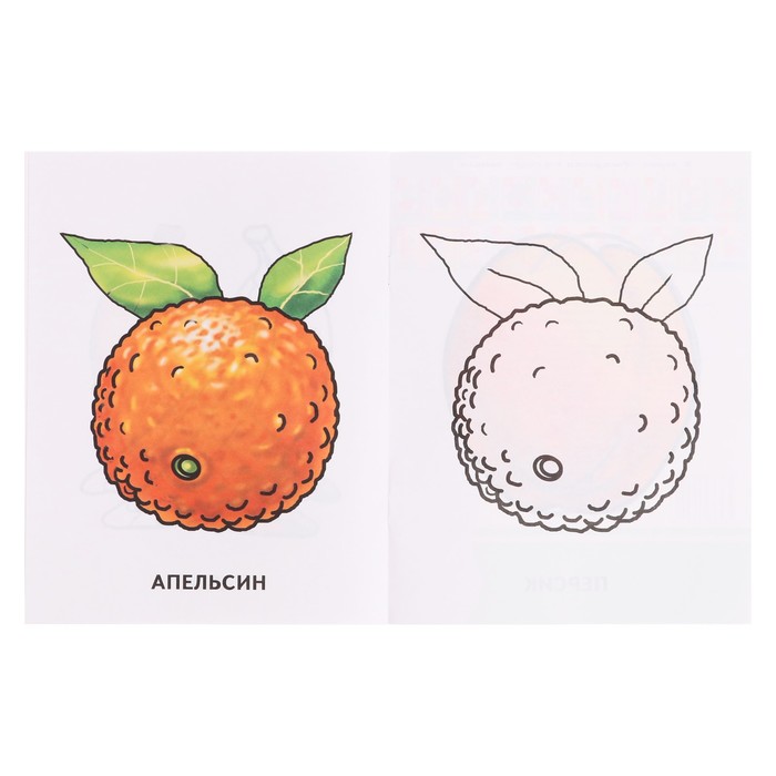 Простые раскраски для детей с фруктами и ягодами