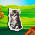 Развивающая игра на липучках «Изучаем мир домашних животных», методика Домана, с обучающими карточками по методике Глена Домана - Фото 4