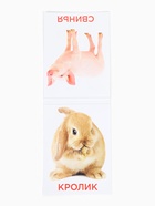 Развивающая игра на липучках «Изучаем мир домашних животных», методика Домана, с обучающими карточками по методике Глена Домана - Фото 7