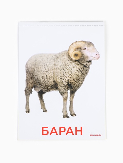 Развивающая игра на липучках «‎Изучаем мир домашних животных», методика Домана, с обучающими карточками по методике Глена Домана