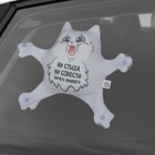 Автоигрушка «Ни стыда, ни совести», кот, на присосках - фото 6261464