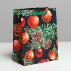 Пакет ламинированный «Новогодняя ночь», MS 18 х 23 х 10 см - Фото 1