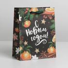 Пакет крафтовый вертикальный «Новогодние мандарины», MS 18 × 23 × 10 см - фото 9058229