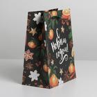 Пакет крафтовый вертикальный «Новогодние мандарины», MS 18 × 23 × 10 см - Фото 3
