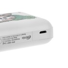 Внешний аккумулятор Ritmix RPB-10007, 10000 мАч, 2хUSB, 2.1 А, корги - фото 51663273 Внешний аккумулятор Ritmix RPB-10007, 10000 мАч, 2хUSB, 2.1 А, корги - фото 51663273