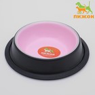 Миска с нескользящим основанием двухцветная для котят, 225 мл, розовая - фото 2101286