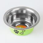 УЦЕНКА!Миска стандартная цветная с принтом, 240 мл, зелёная - Фото 2