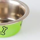 УЦЕНКА!Миска стандартная цветная с принтом, 240 мл, зелёная - Фото 4