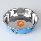 УЦЕНКА!Миска округлая с нескользящим основанием и принтом, 450 мл, голубая - Фото 2