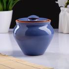 Горшочки для запекания Вятская керамика, набор 6 шт., ухват, 500 мл, МИКС - Фото 2