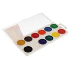 Акварель медовая Calligrata, 12 цветов, без кисти, пластик, МИКС - Фото 5