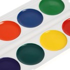 Акварель медовая Calligrata, 12 цветов, без кисти, пластик, МИКС - Фото 6