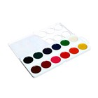 Акварель медовая Calligrata, 12 цветов, без кисти, пластик, МИКС - Фото 9