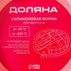 Форма для выпечки Доляна «Круг», силикон, 25×5,5 см, внутр. d=23 см, цвет розовый - Фото 6