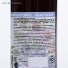 Сироп черники с эхинацеей и шиповником, 250 мл - Фото 5