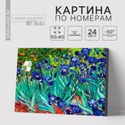 Картина по номерам на холсте с подрамником «Ирисы» Винсент ван Гог, 40×50 см - Фото 1