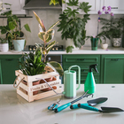 Ящик для овощей и фруктов, 29 × 23 × 19 см, деревянный, Greengo 5302085