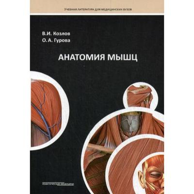 Анатомия мышц: Учебное пособие. Козлов В.
