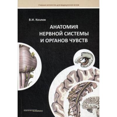 Анатомия нервной системы и органов чувств: Учебное пособие. Козлов В.И.