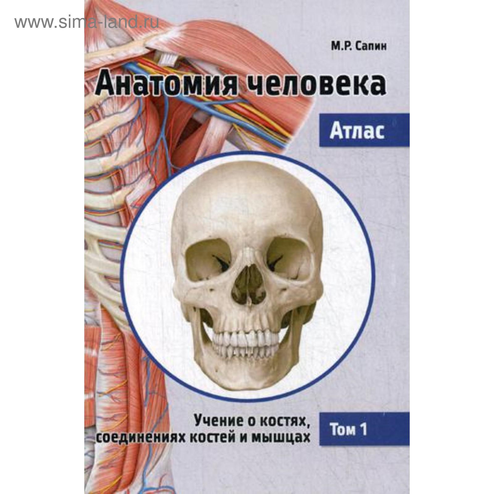 Купить Анатомию Человека В 3 Томах