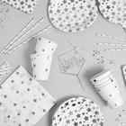 Набор посуды «С днём рождения», серебряные звёзды - фото 1008096