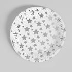Набор посуды «С днём рождения», серебряные звёзды - фото 4608554