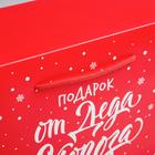 Пакет-коробка «Подарок», 28 × 20 × 13 см - фото 9566556