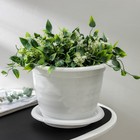 Горшок для цветов с поддоном «Виола», 5 л, пластиковый, белый - Фото 1