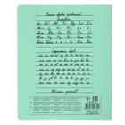 Тетрадь 18 листов в линейку «Зелёная обложка», с алфавитом, плотность 60 г/м², белые листы, термоупаковка 25 шт. - Фото 3
