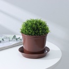 Горшок для цветов с поддоном «Доляна», 800 мл, пластиковый, коричневый, оттенок МИКС - Фото 6