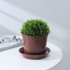 Горшок для цветов с поддоном «Доляна», 800 мл, пластиковый, коричневый, оттенок МИКС - Фото 8