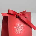 Пакет подарочный с лентой «Happy New Year», 13 × 19 × 9 см - Фото 3