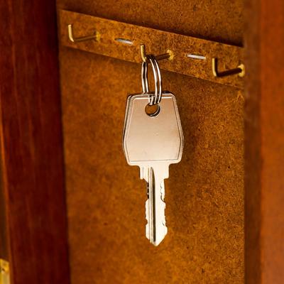 Ключница настенная «Сова в ночи», орех, 15×21 см