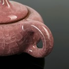 Набор для чайной церемонии «Искушение», 5 предметов: чайник 150 мл, чашка 50 мл, цвет розовый - Фото 11