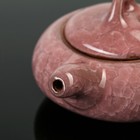 Набор для чайной церемонии «Искушение», 5 предметов: чайник 150 мл, чашка 50 мл, цвет розовый - Фото 10