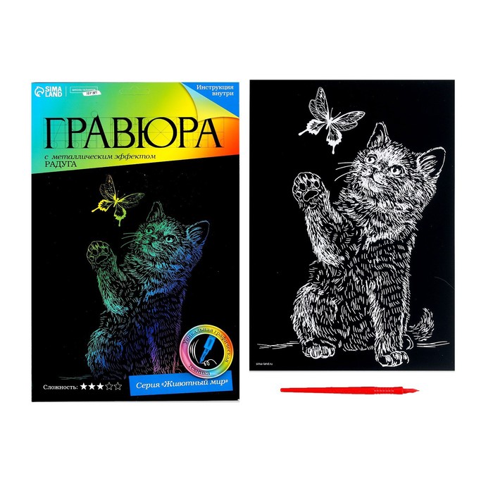 Гравюра «Котёнок с бабочкой» с эффектом голография - фото 1889489532