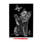 Гравюра «Котёнок с бабочкой» с эффектом голография - фото 7254539