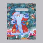 Пакет "Дед Мороз", полиэтиленовый с вырубной ручкой, 20 х 30 см, 30 мкм - фото 319870363