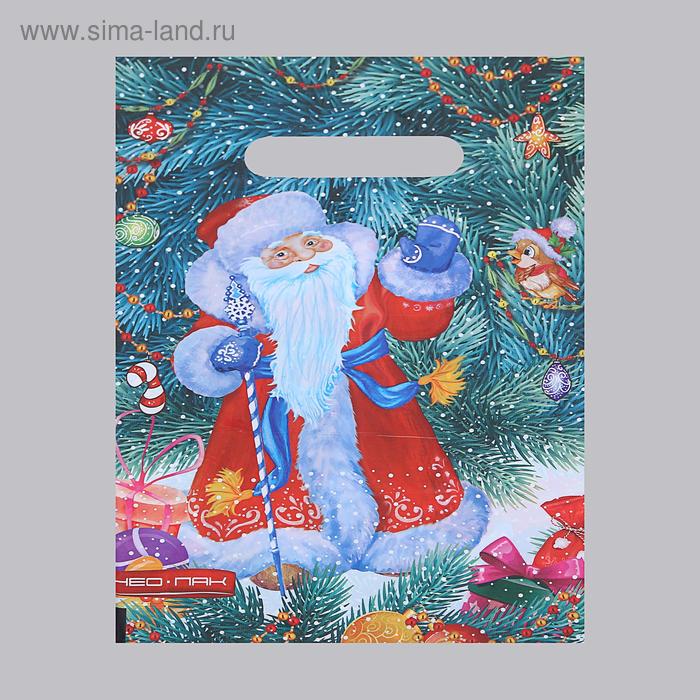 Пакет "Дед Мороз", полиэтиленовый с вырубной ручкой, 20 х 30 см, 30 мкм - Фото 1