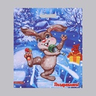 Пакет "Веселый зайка", полиэтиленовый с вырубной ручкой, 38 х 47 см, 60 мкм (25 шт) - фото 809215445