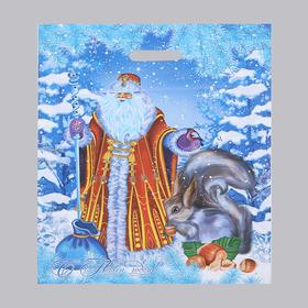 Пакет 'Дед Мороз и Снегурочка', полиэтиленовый с вырубной ручкой, 41 х 51 см, 80 мкм